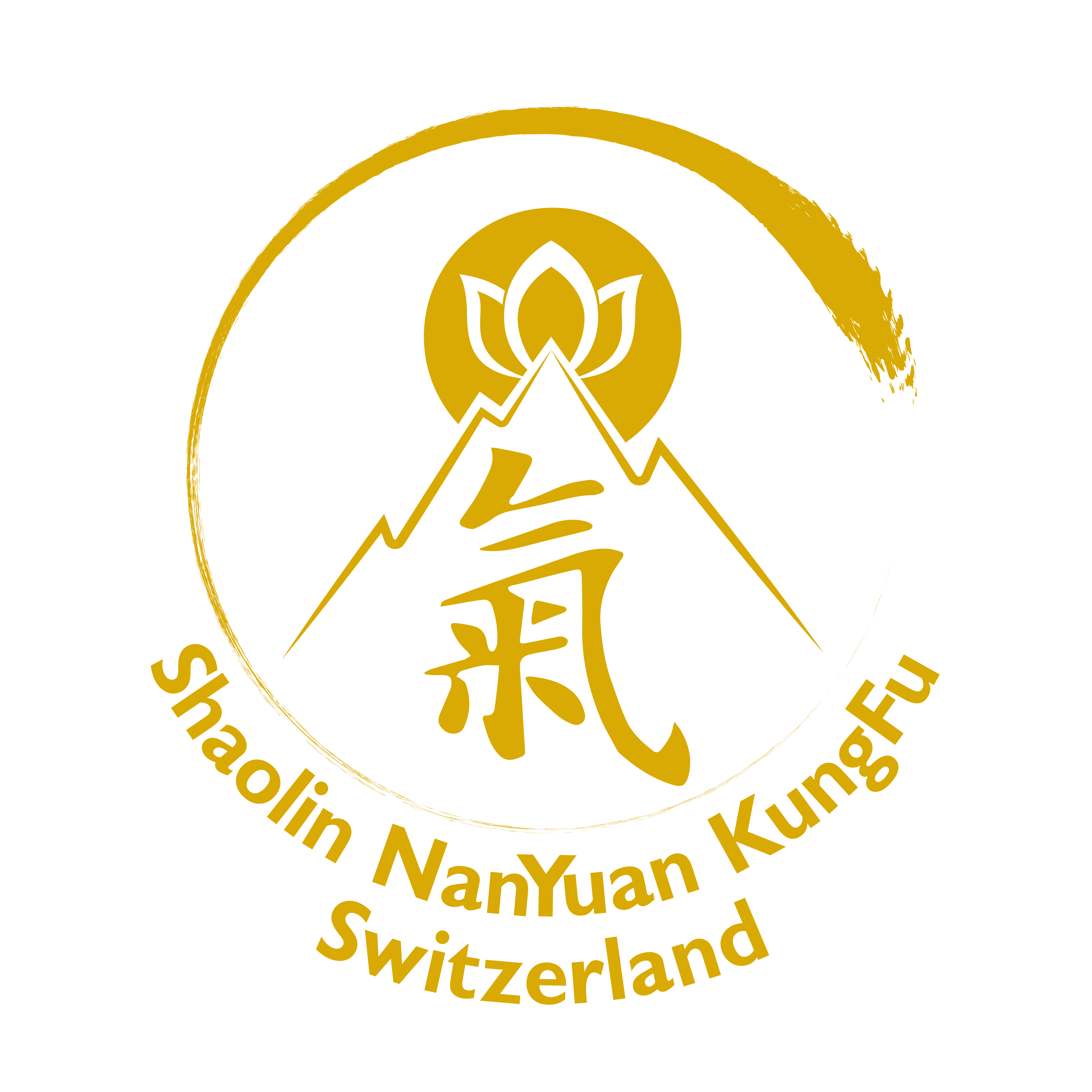 Shaolin NanYuan KungFu Switzerland