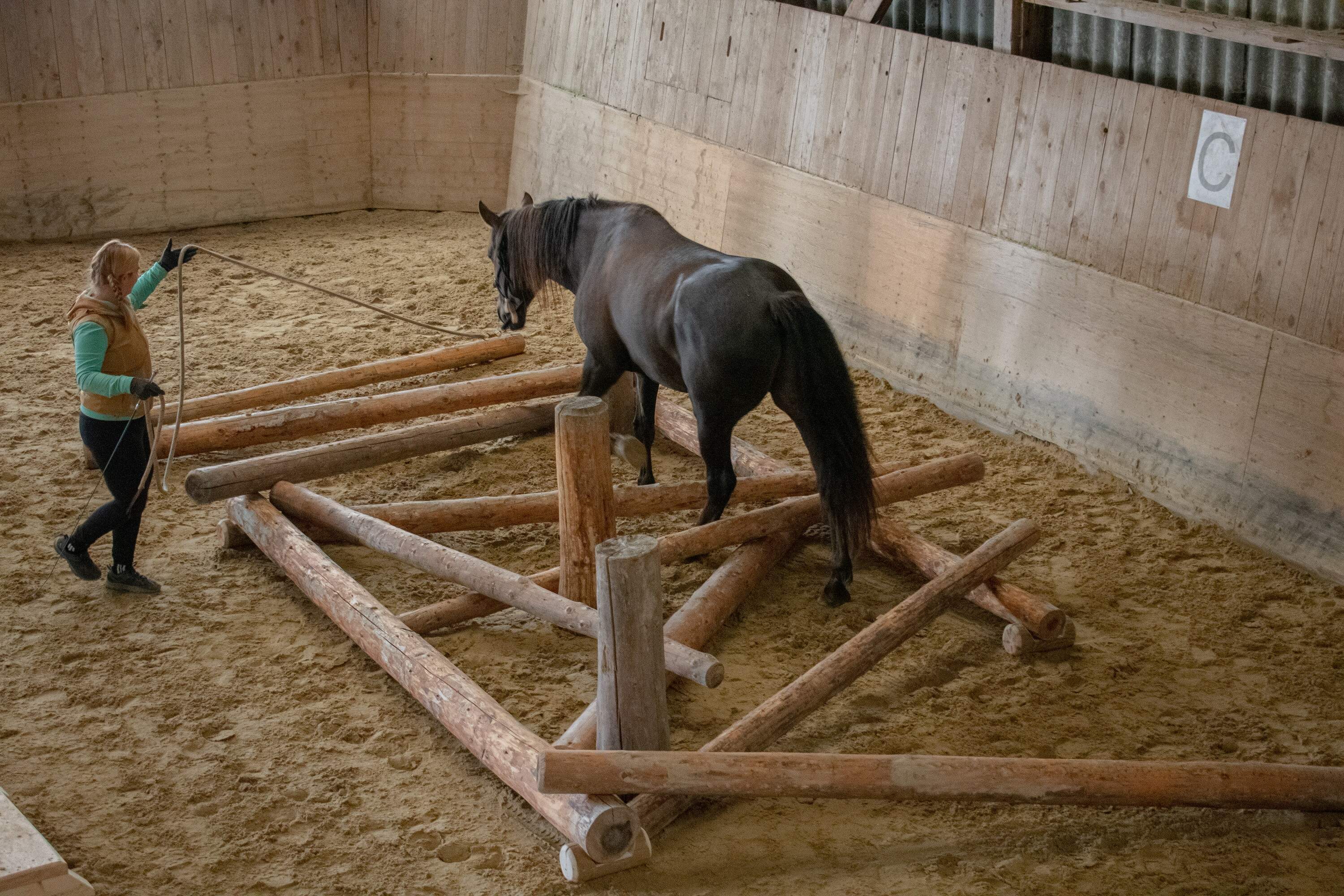 Über Kola-Horse: Was eine neue Haltungsform bewirken kann