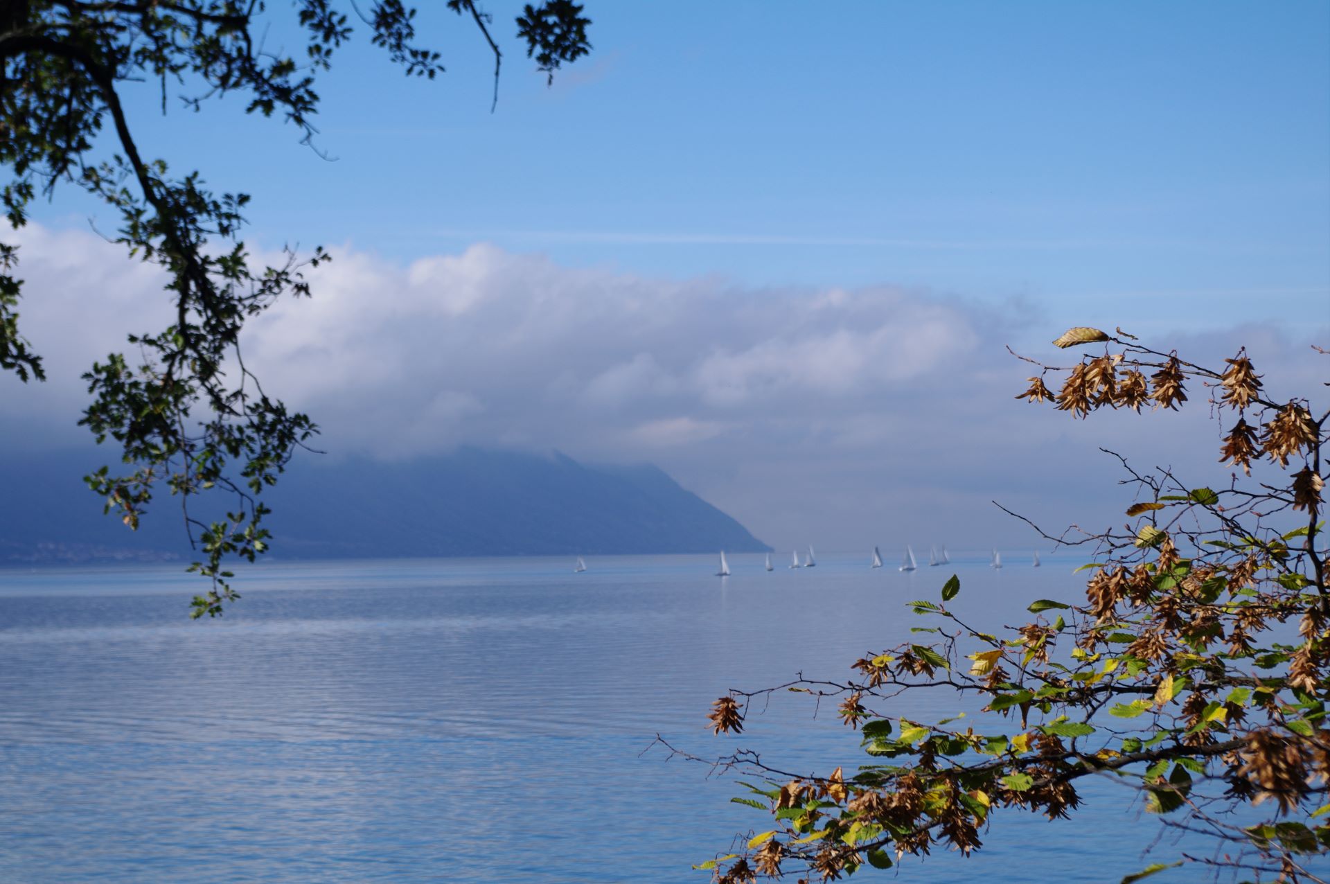 Das Schloss liegt am wunderschönen Genfersee Ufer an einer einzigartigen Lage