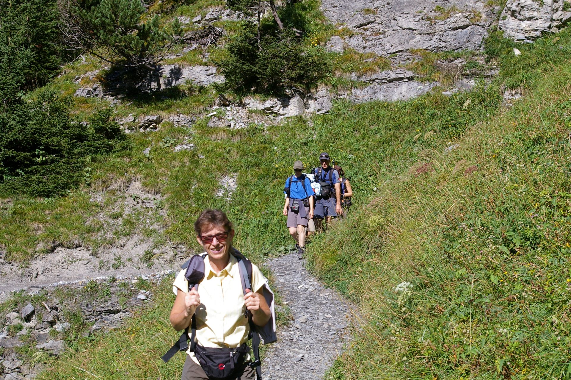 Der Wanderweg führt über Alpweiden hoch