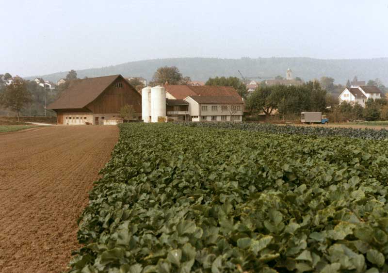 Landwirtschaftsbetrieb Fahrgut in Windisch
