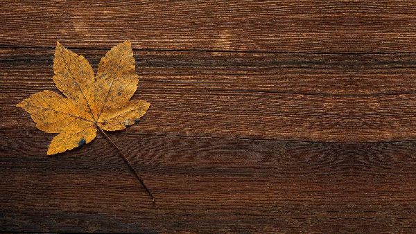 Holzmuster mit Herbstblatt symbolisiert Status-Check