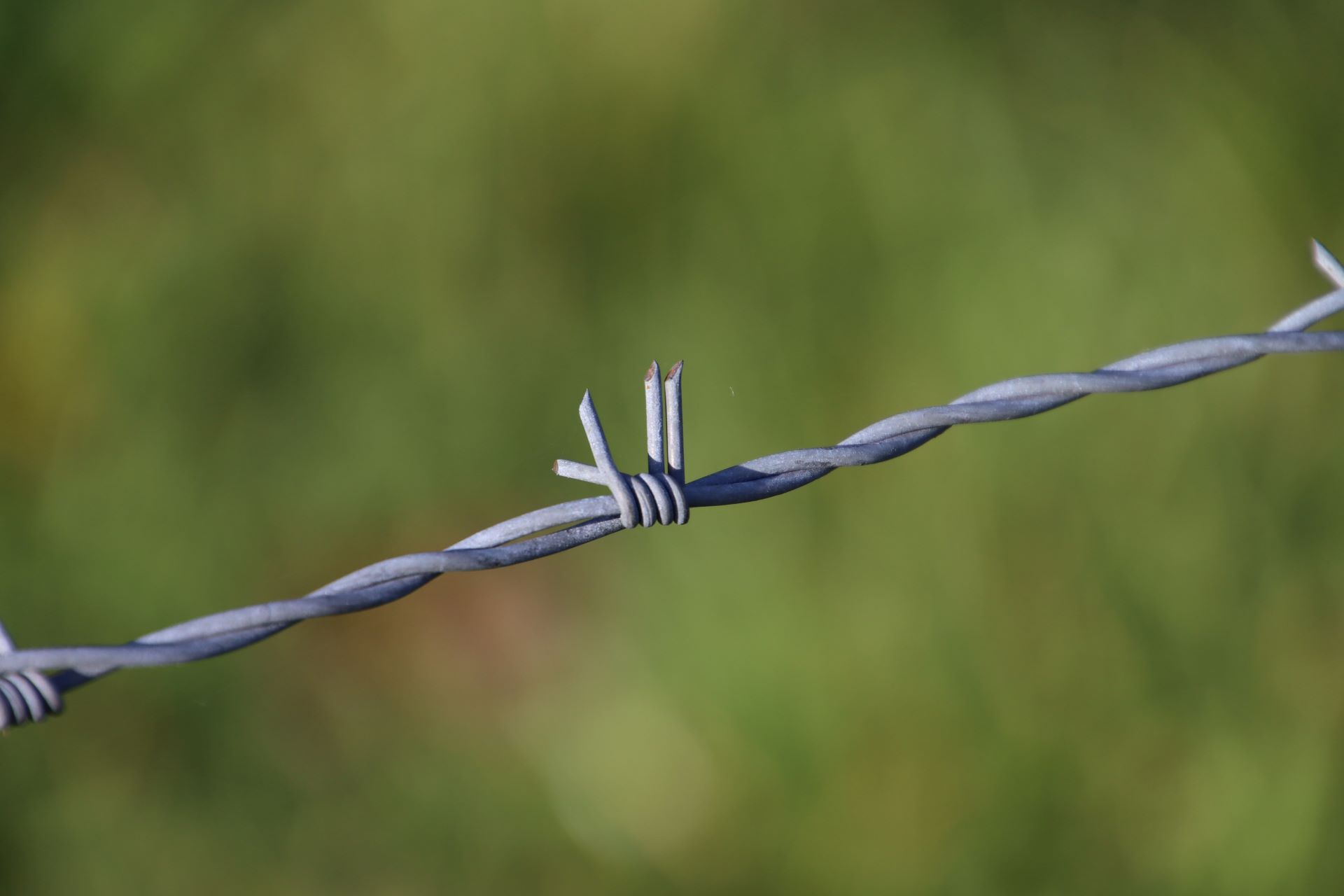 Auch in der naturnahen Landwirtschaft geht es nicht ohne Zäune und Drähte