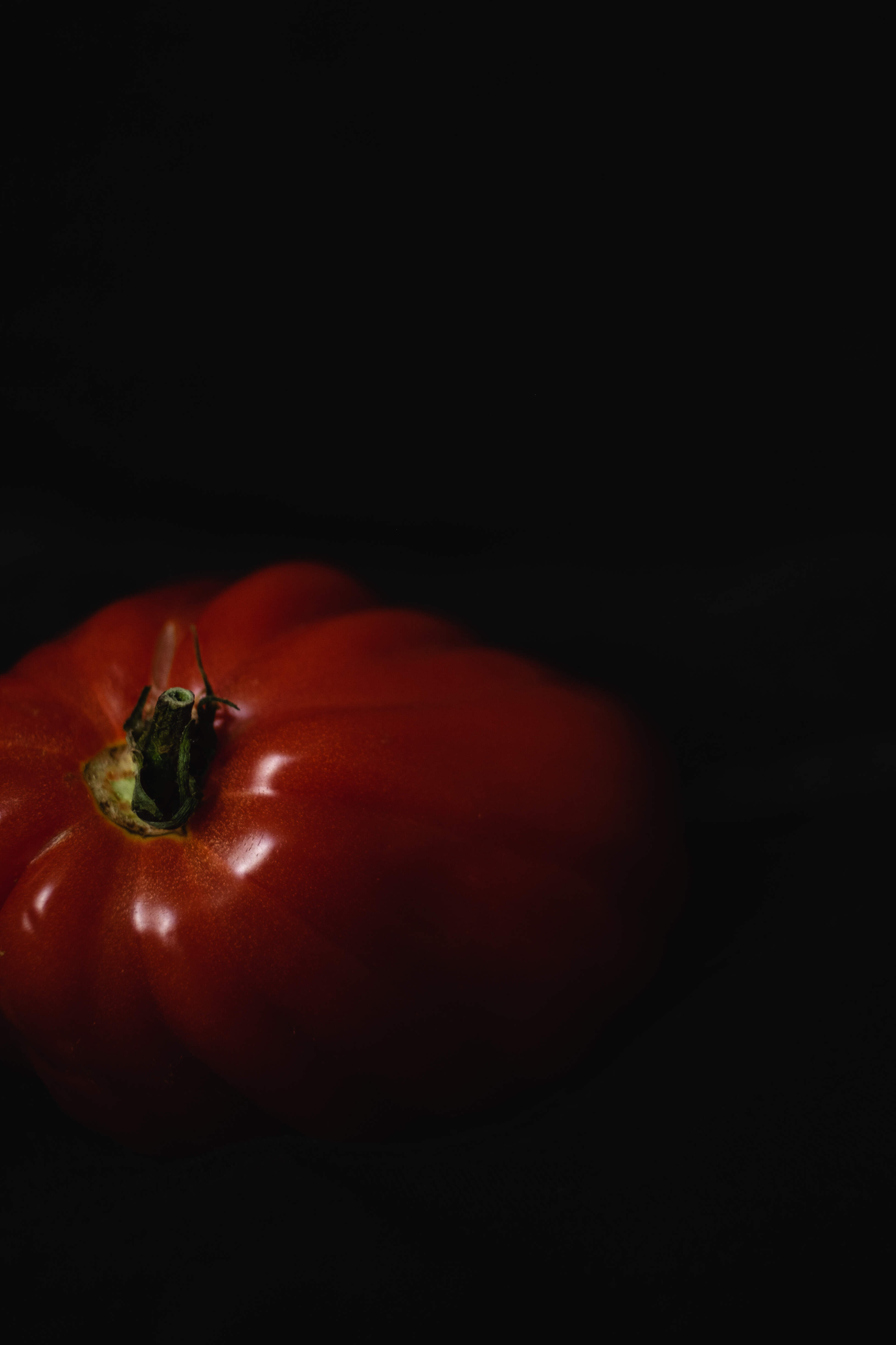 Tomatenöl - Huile de tomate - Tomato oil