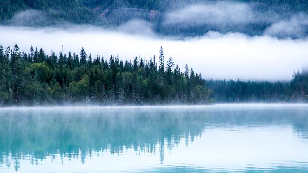 Ein Bergsee mit einem Tannenwald und Nebel ist wie ein Blick in die Organisationsanalyse als Teil der SWOT
