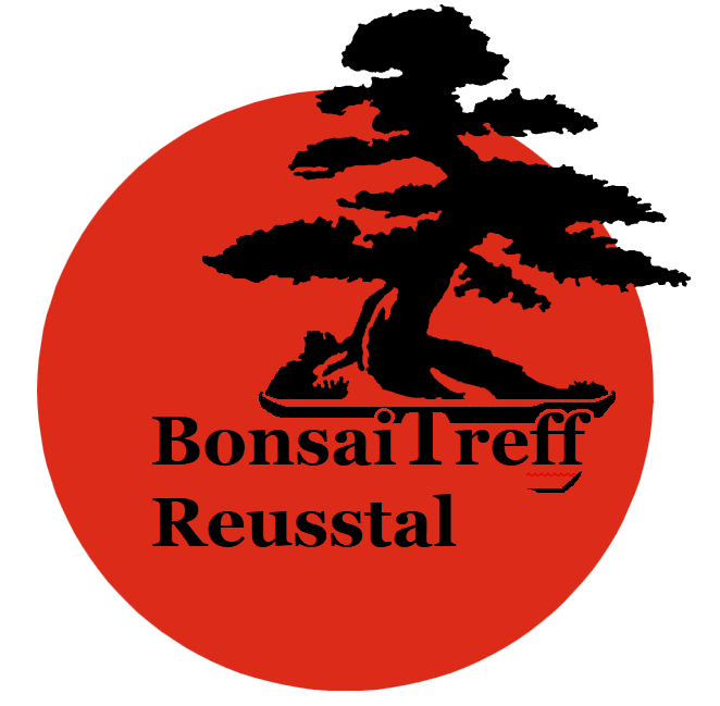 BonsaiTreff Reusstal