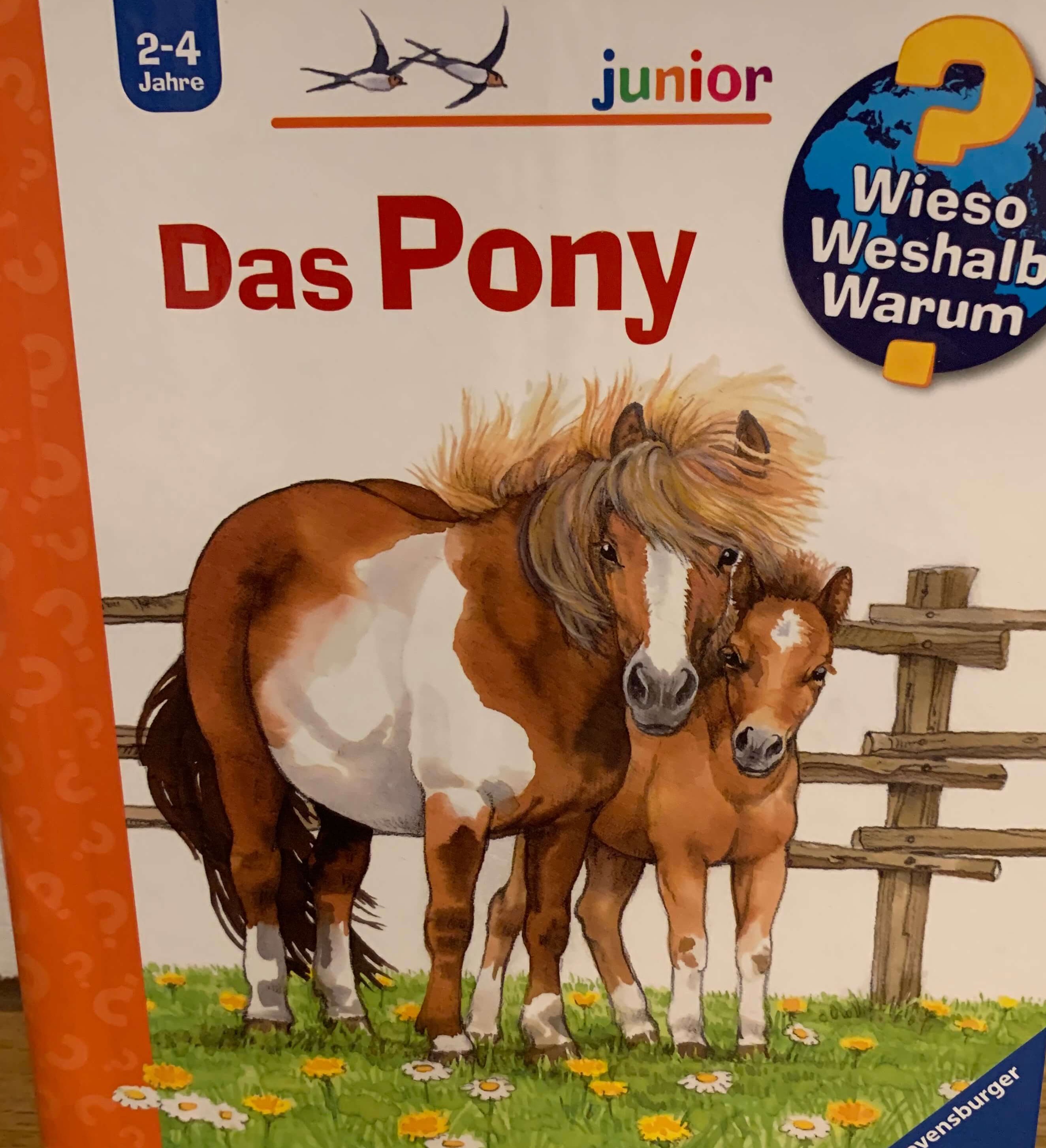 Wieso Weshalb Warum ? Junior - Das Pony