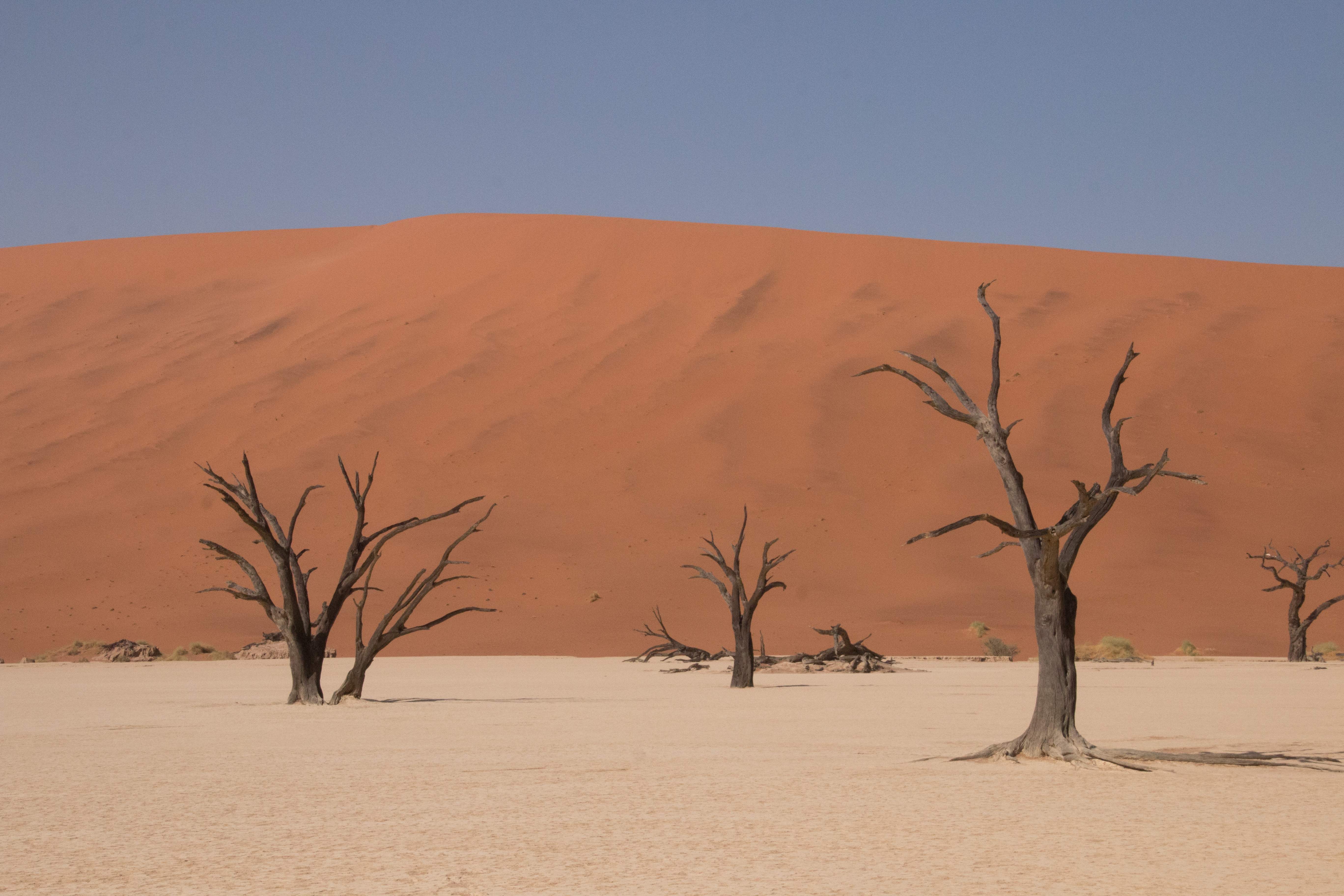 Namibia, Dead Vlei