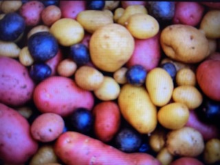 Bild potato mixedjpg