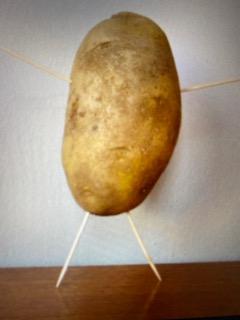 Bild potato slimjpg