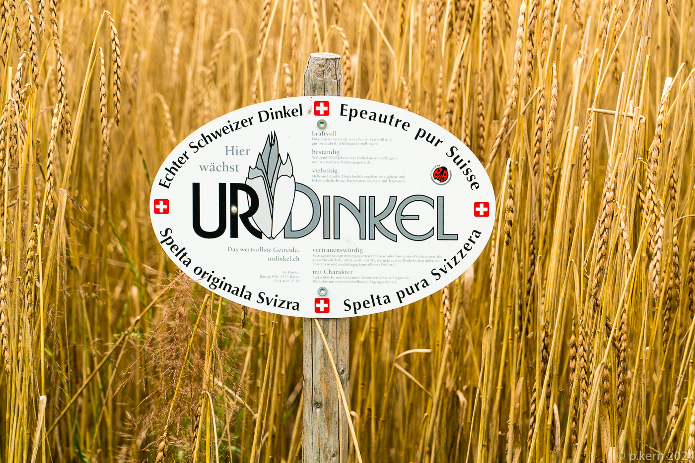 Urdinkel_jpg