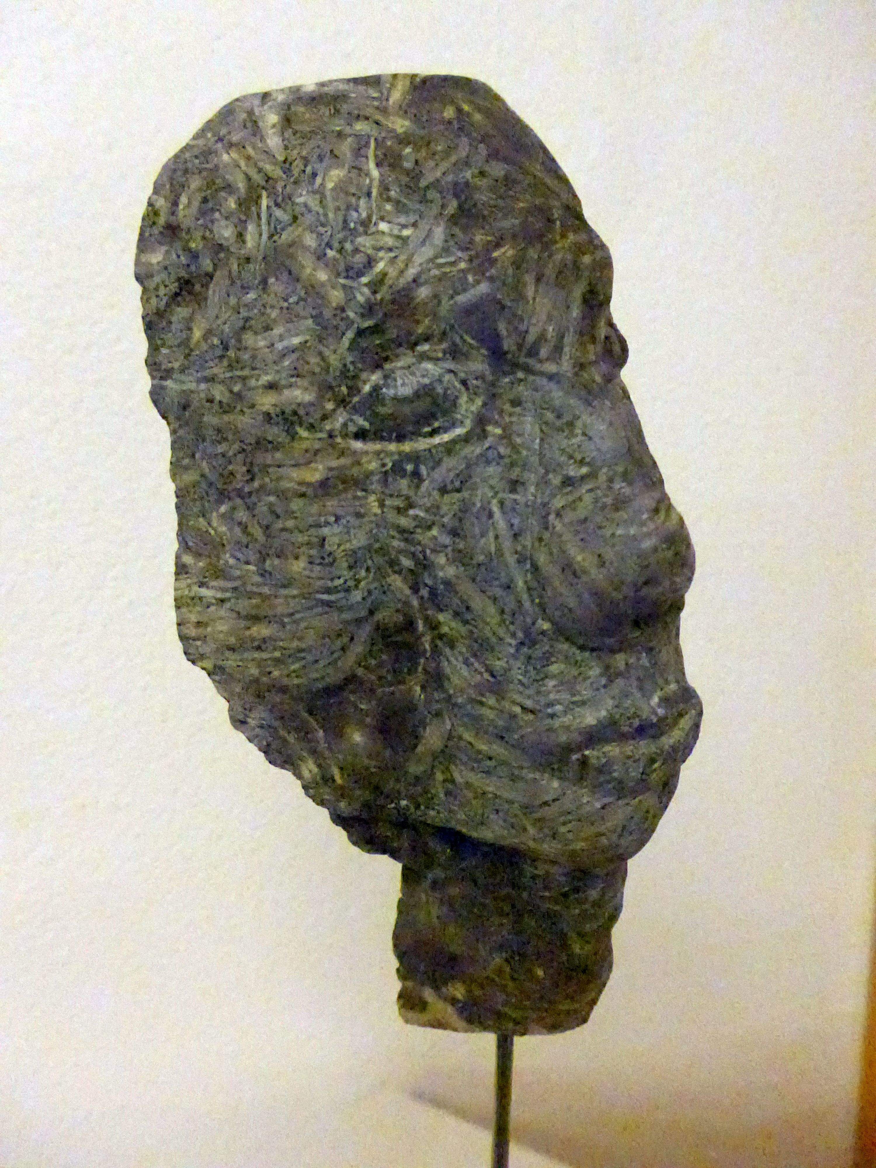 Münzstein aus dem Wägital ca. 20 x 8 cm