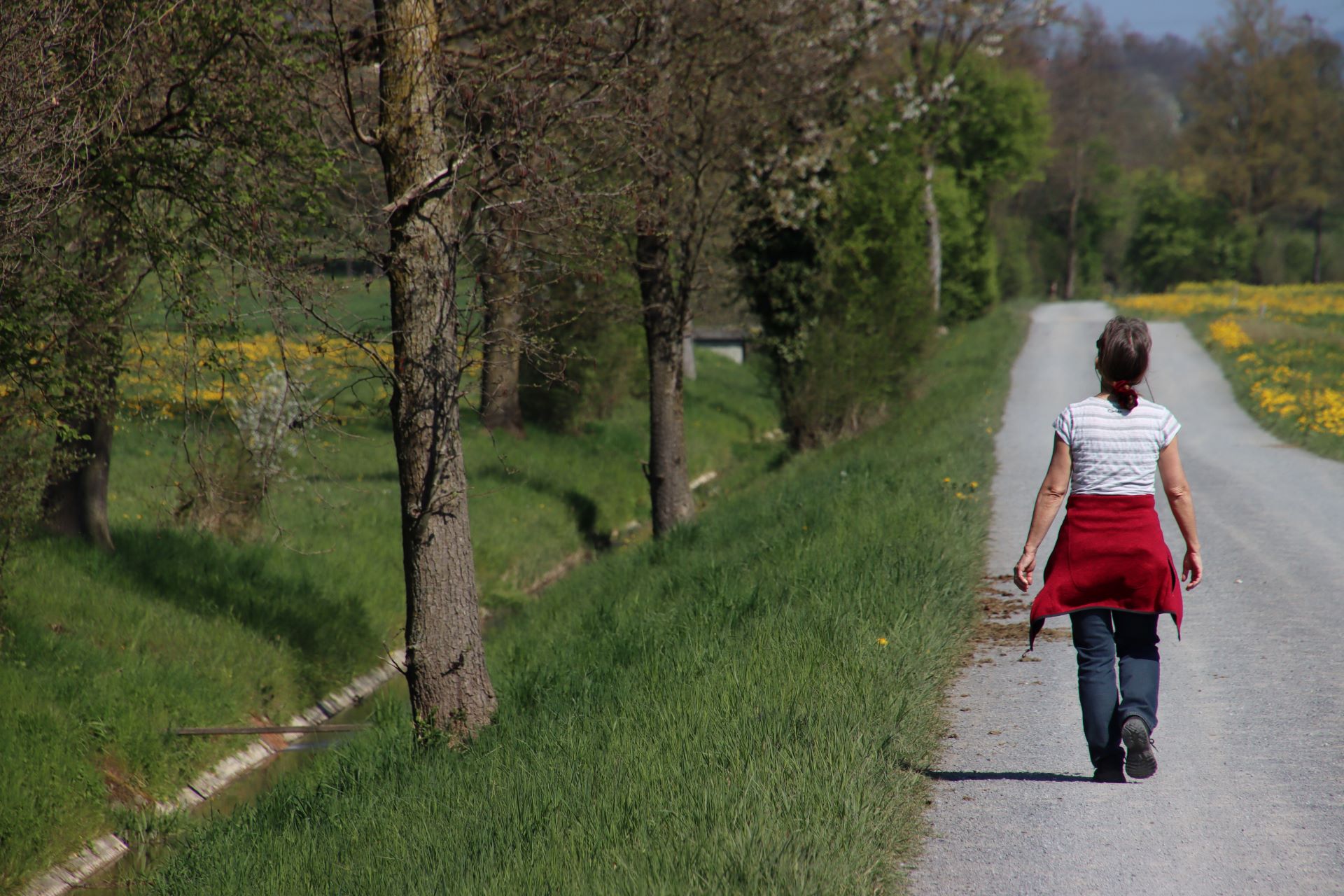 Neben dem Damm auf der Aargauer Seite der Reuss befindet sich ein Kanal