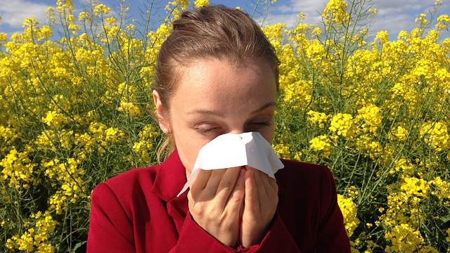 Allergien und Hautprobleme