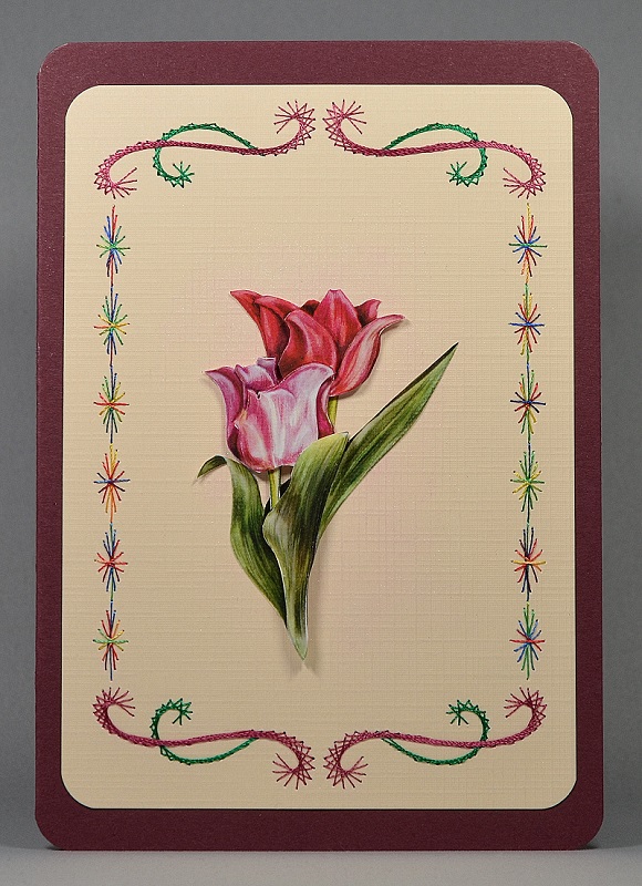 Tulpen- Grusskarte
