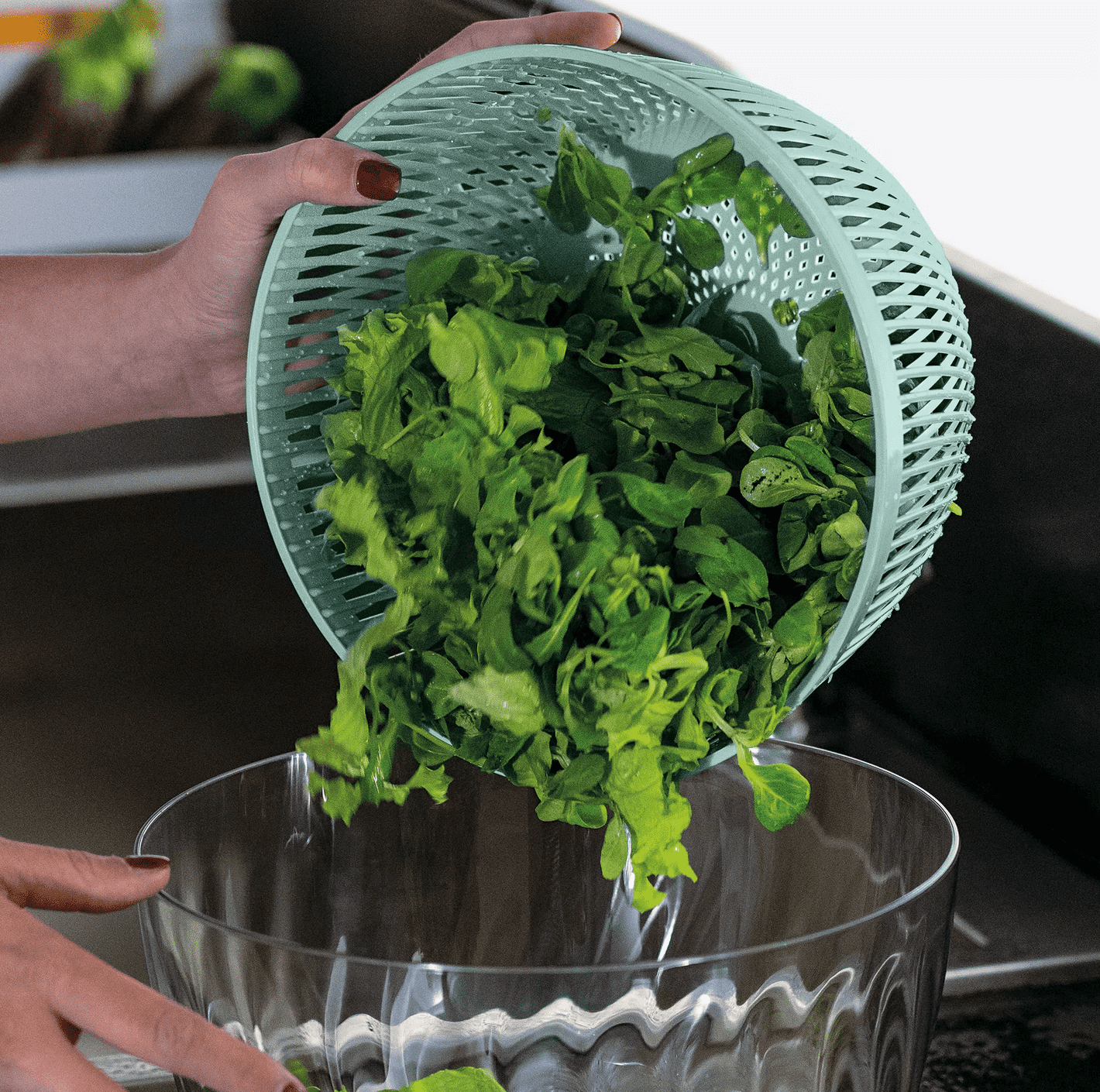 SPIN&STORE Salatschleuder mit Deckel Grün