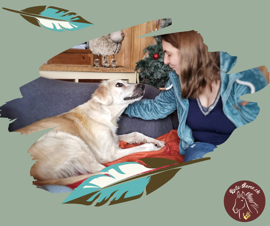 Blog 8. Ausbildungstag Tier-Shiatsu-Therapeutin - Klinische Untersuchung bei Hund/Katze, das Qi sowie das Element Erde