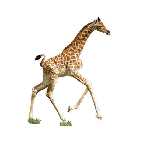Konturpuzzle XL Jr. Giraffe 100 XL Teile