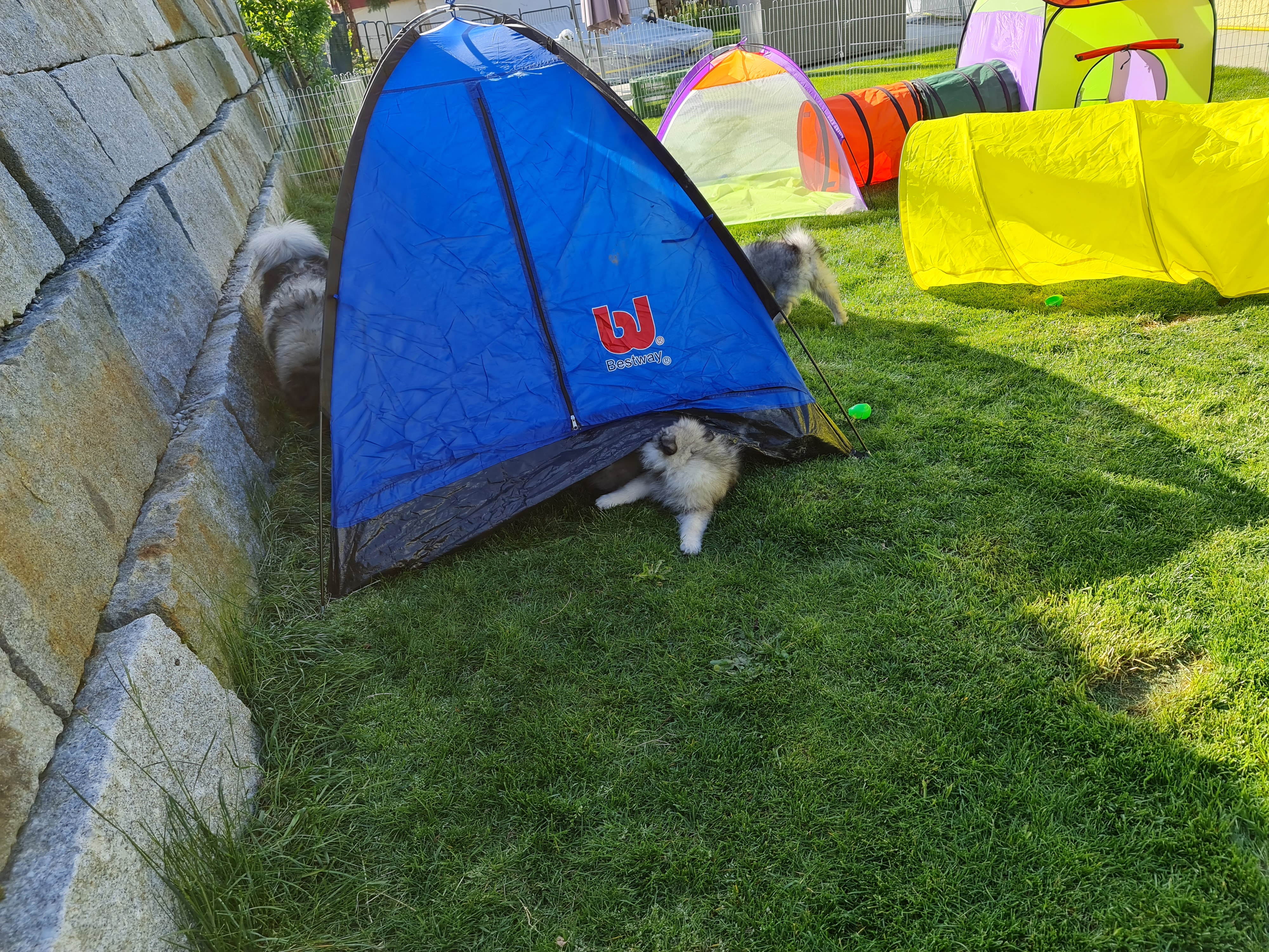 Das Zelt wird rege bespielt