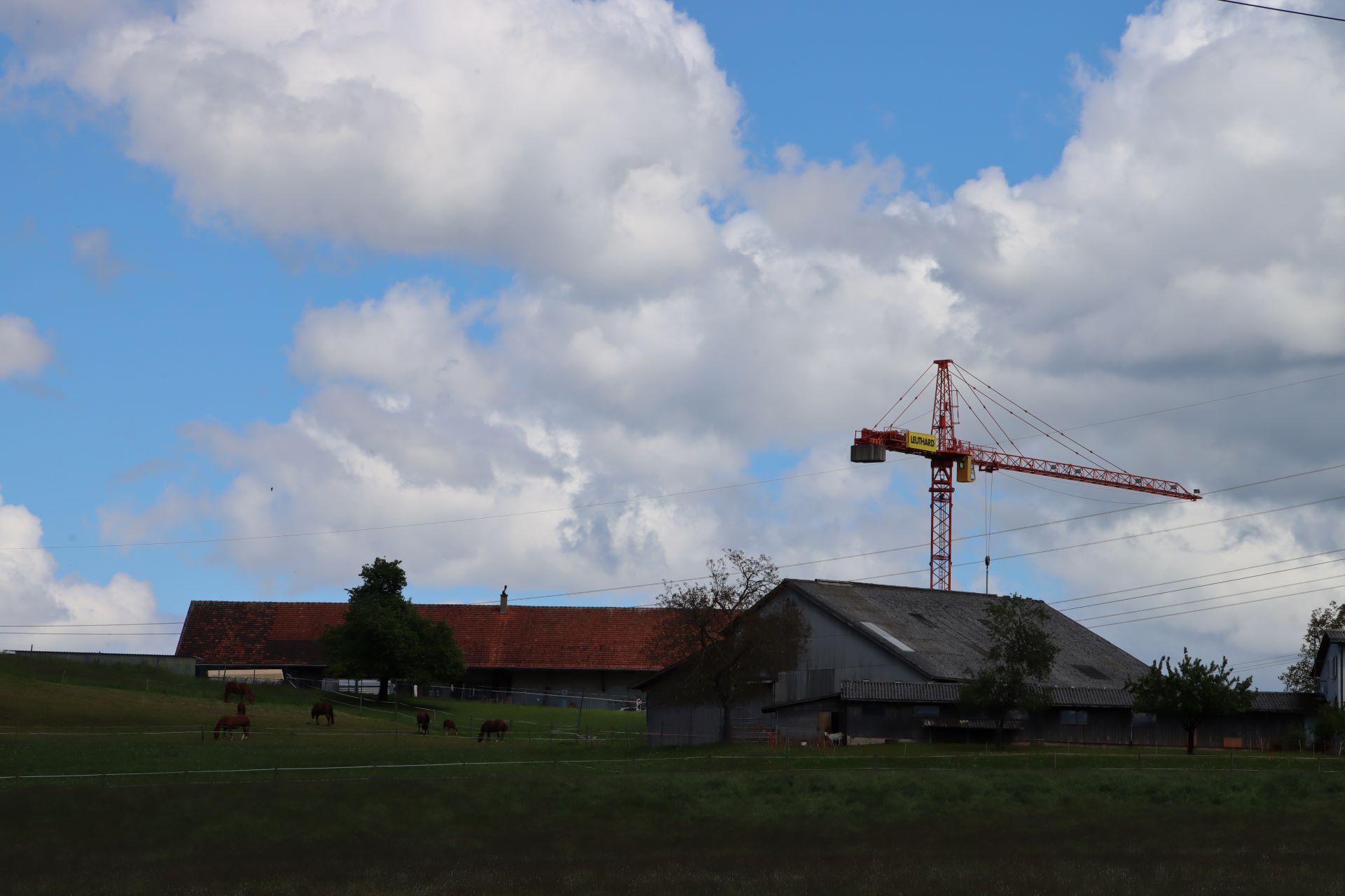 Hügelige Landschaft zwischen Ottenbach und Zwillikon