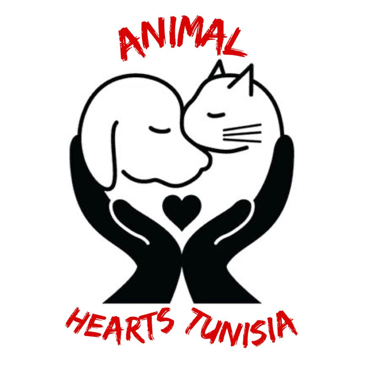 Animal Hearts Tunisia