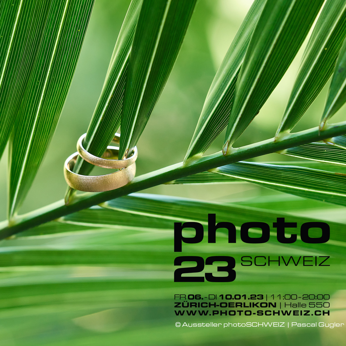 photoSCHWEIZ 23