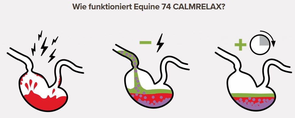 Equine 74 CALMRELAX   3 Aplikatoren
