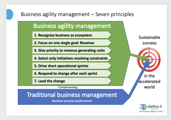 Agile business management seven principles