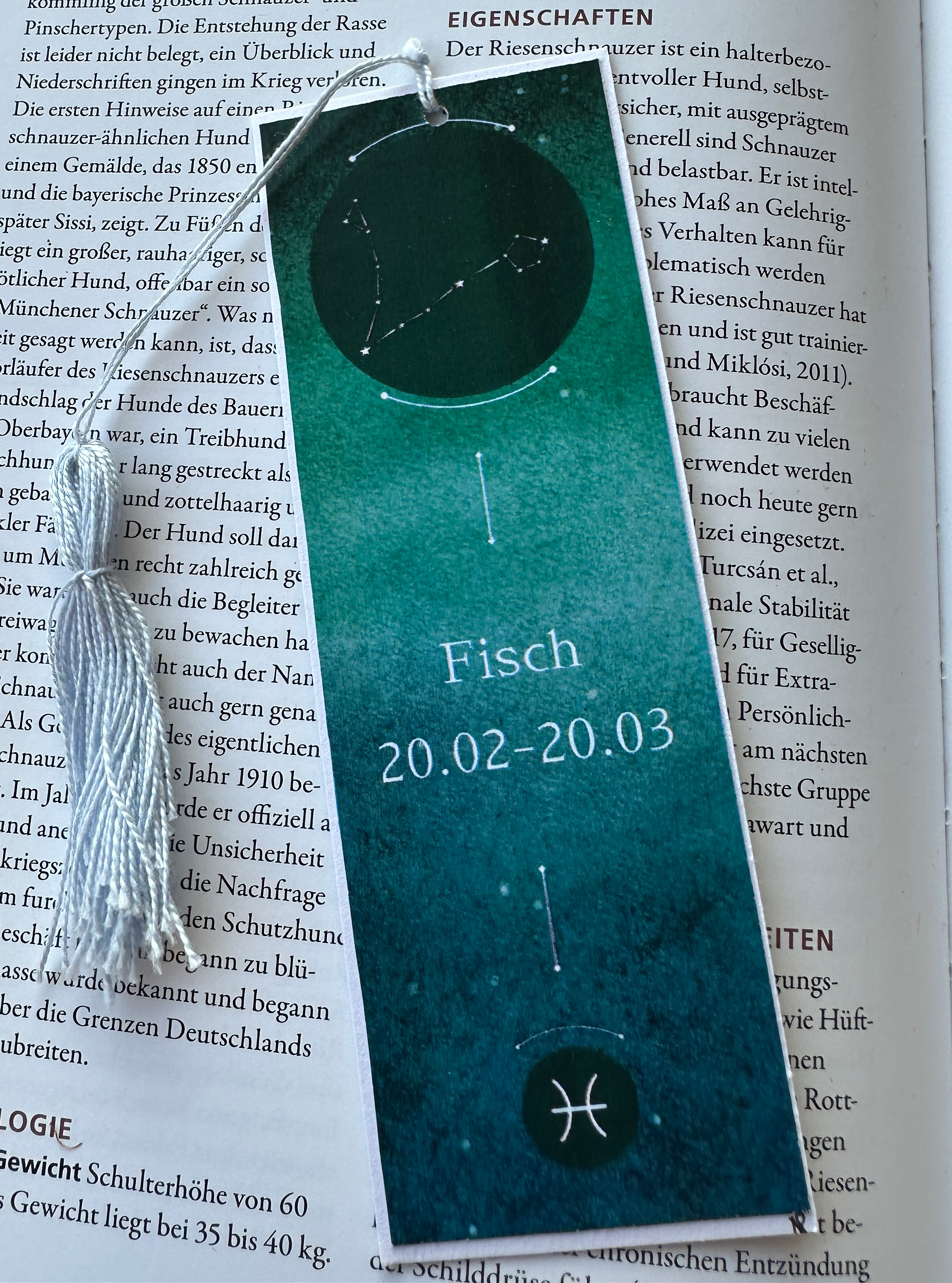 Lesezeichen Fisch