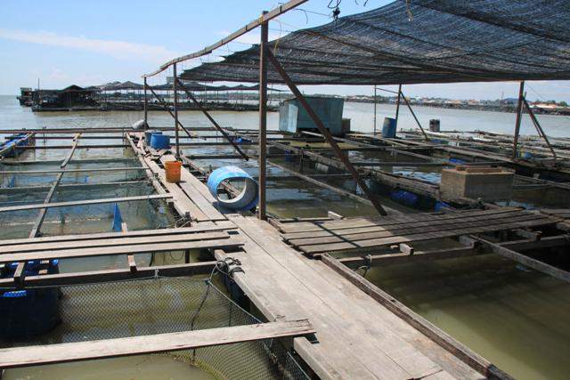 Fischzucht in Kukup