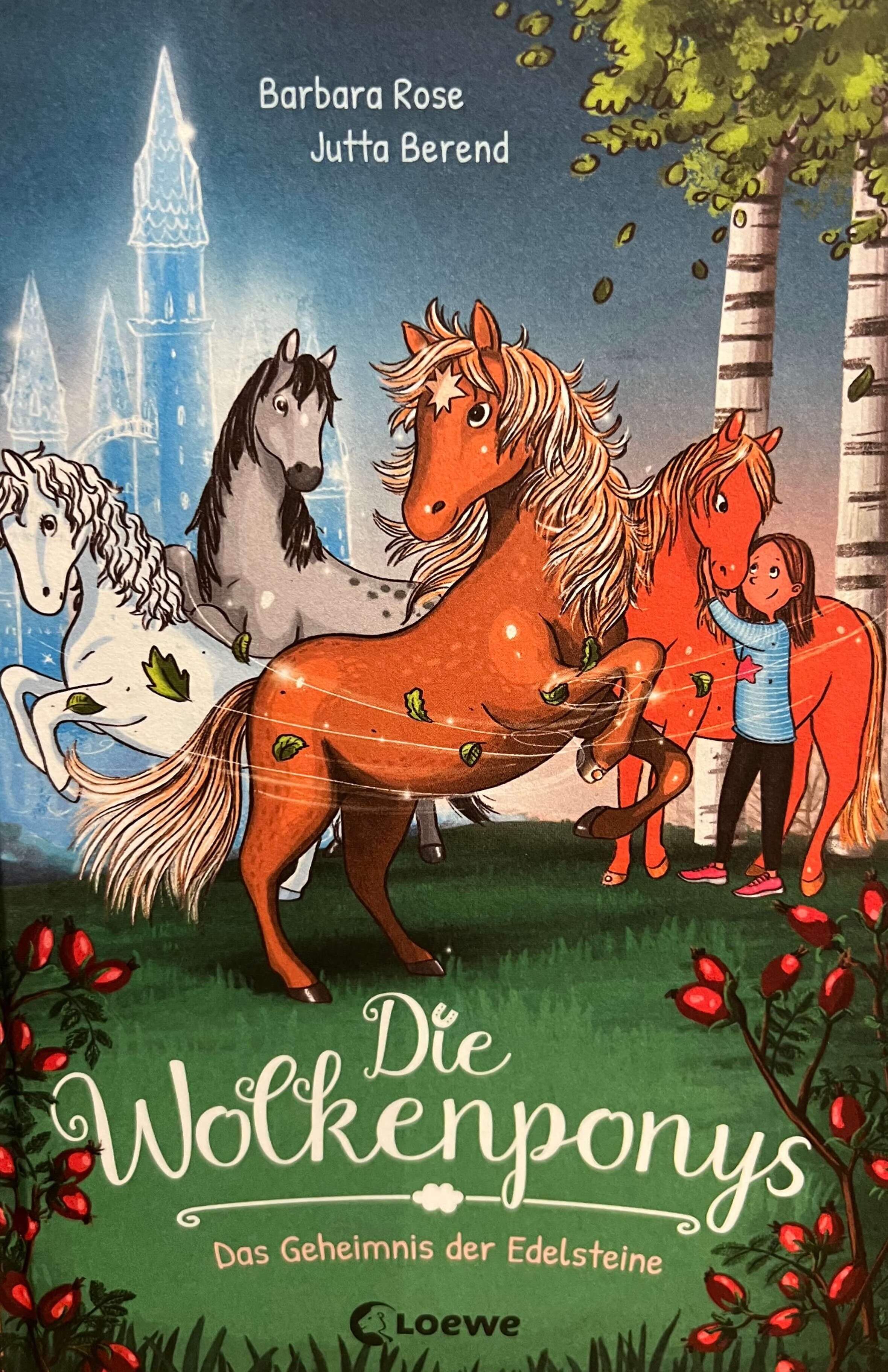 Die Wolkenponys - Das Geheimnis der Edelsteine (Bd.1)