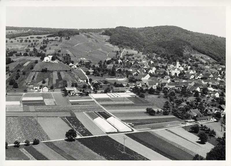 Luftaufnahme, Dorfansicht mit Betriebsumgebung, um 1960