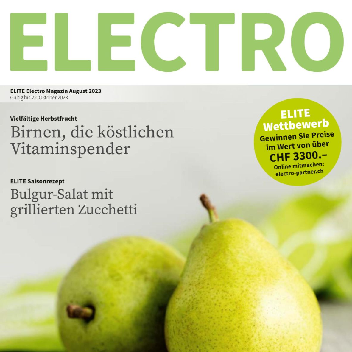 Landstromer - ELECTRO Magazin