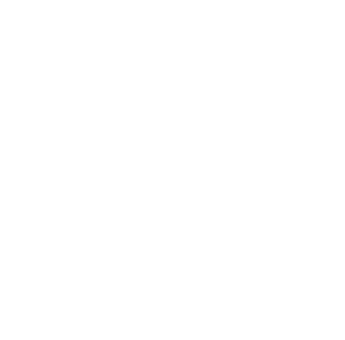 Peter Lenzin Logo