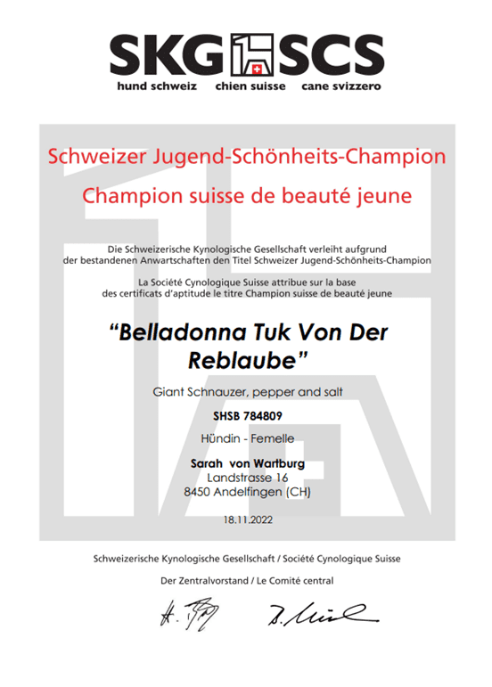 Schweizer Jugend-Schönheits-Champion