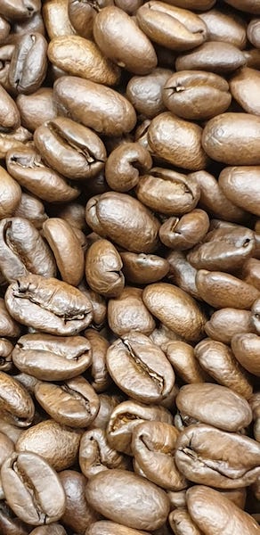 Geisha Beans Nicaragua, Single Origin Coffee 500 Gramm Bohnen