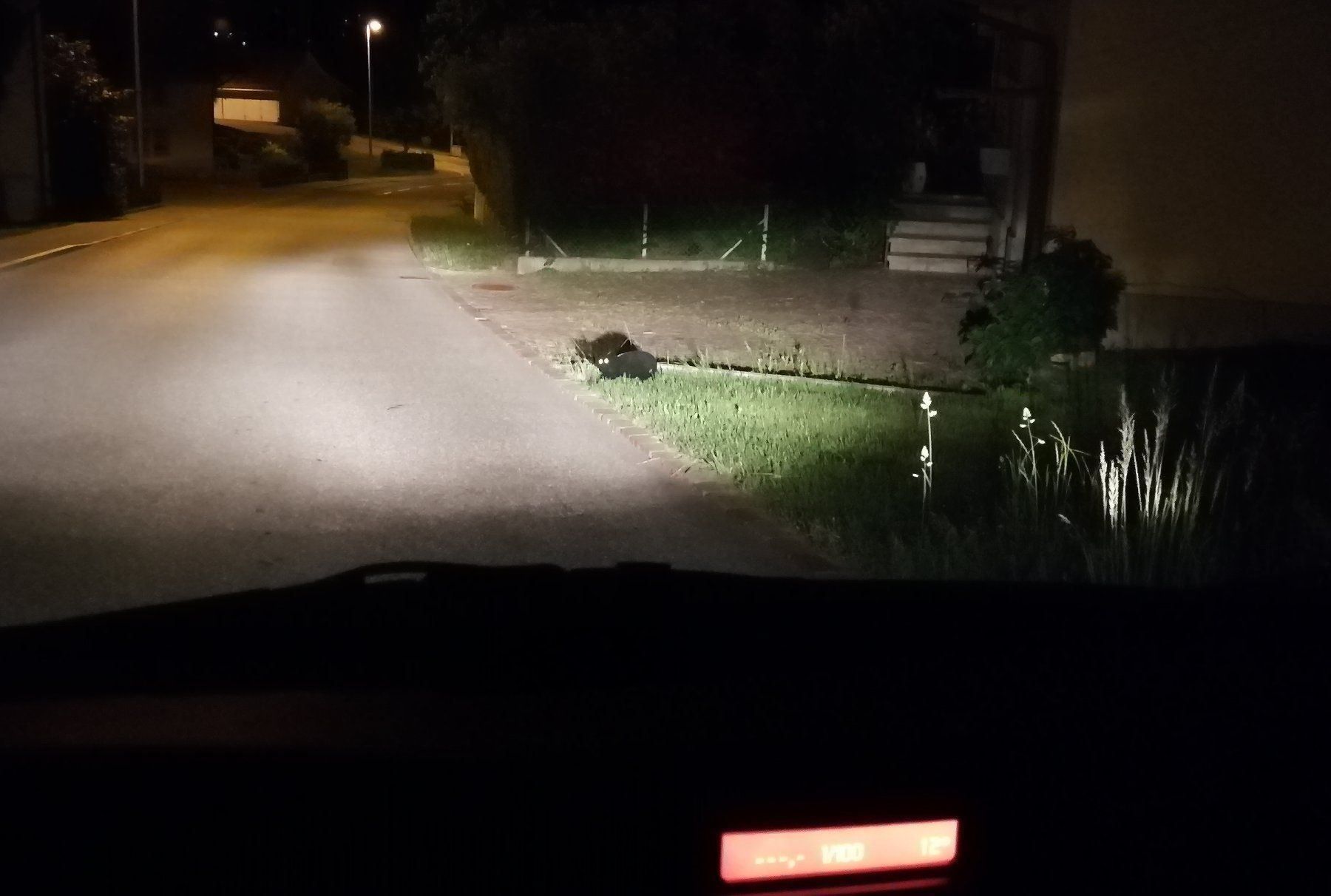 Verkehrsberuhigende Katze "Panther"