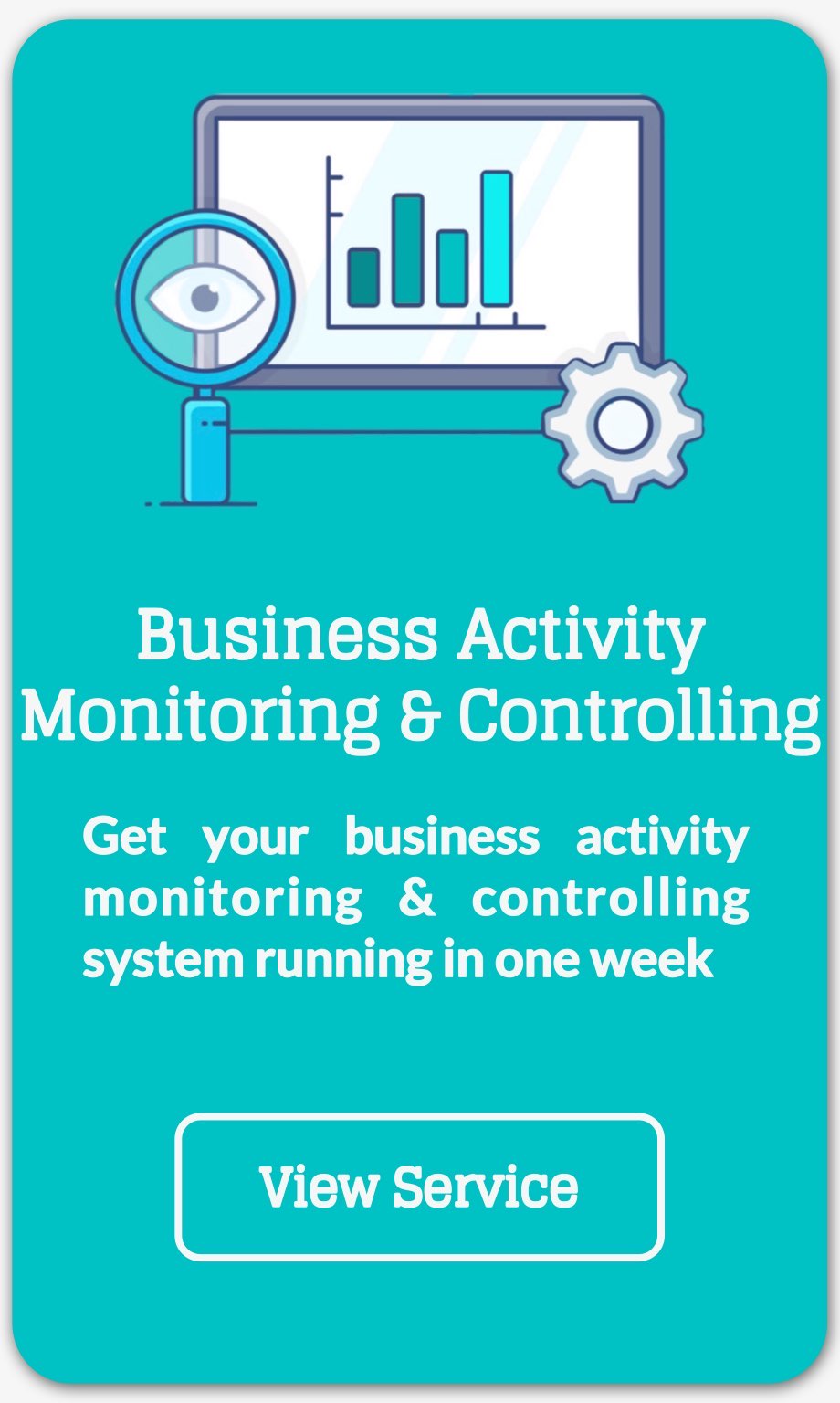 business activity monitoring and controlling