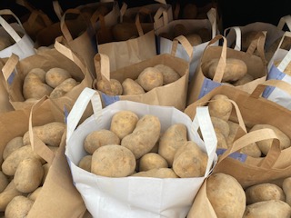 Bild potato kaufmann bagsjpg