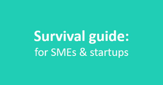Survival guide for SMEs & startups