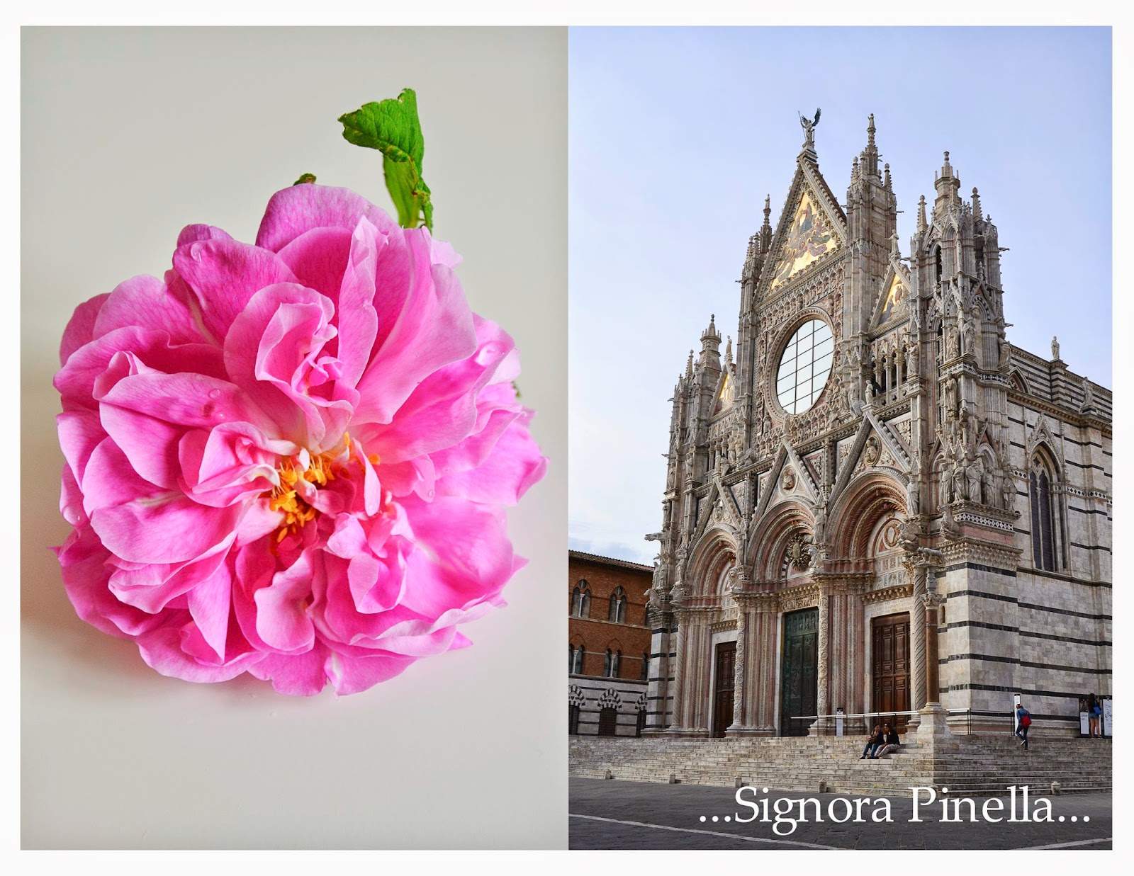 Rosa Gefühle in Siena… (Jun 12, 2014)