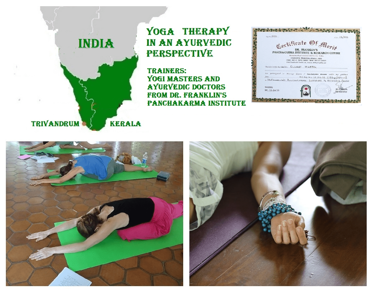 Yoga come terapia nella prospettiva dell'Ayurveda , corso di formazione in Kerala (India)
