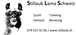 Lama Zucht Stillaub Schweiz