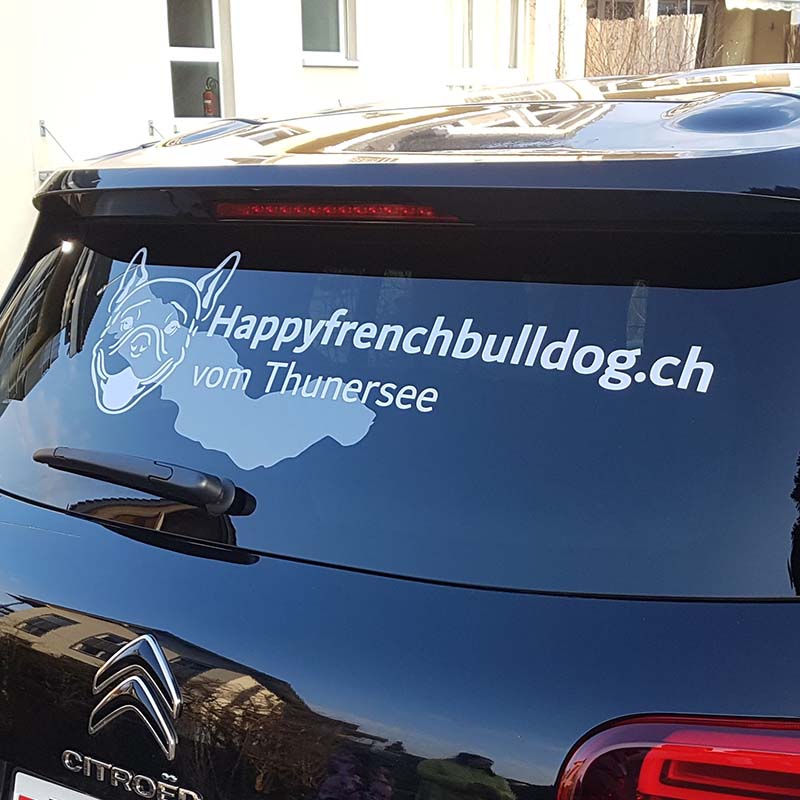 Heckscheibenbeschriftung für die Hundezucht Happyfrenchbulldog vom Thunersee
