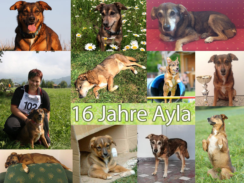 ayla-16jpg