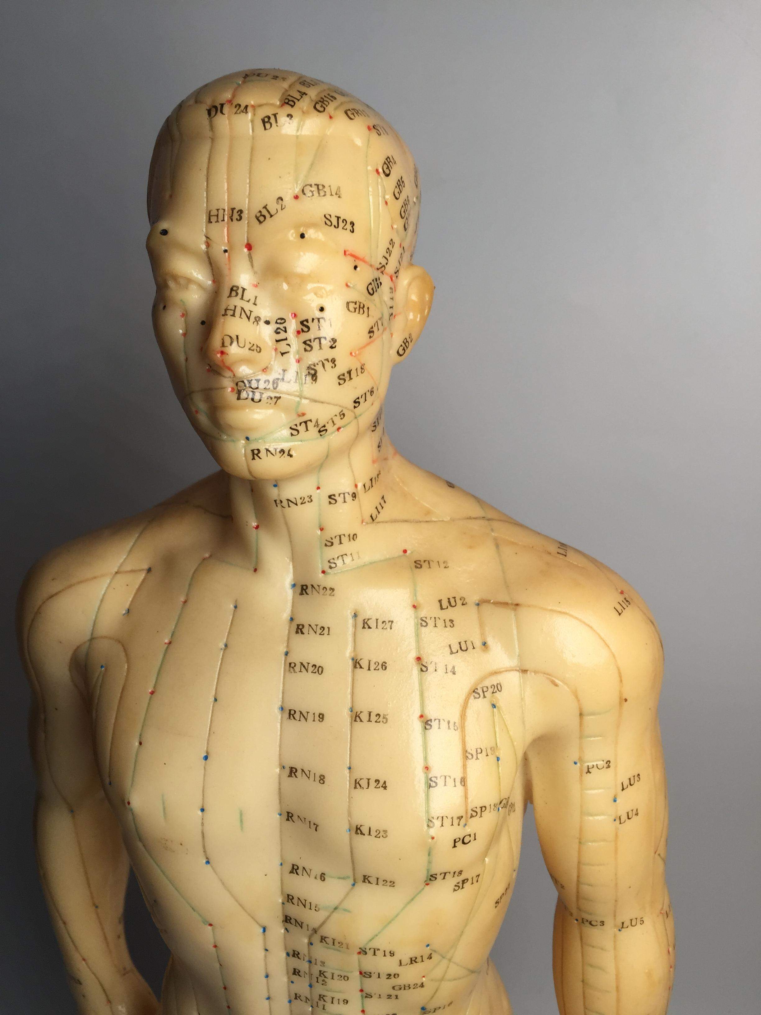 Medizinische Modellfigur für Akupunktur um 1960