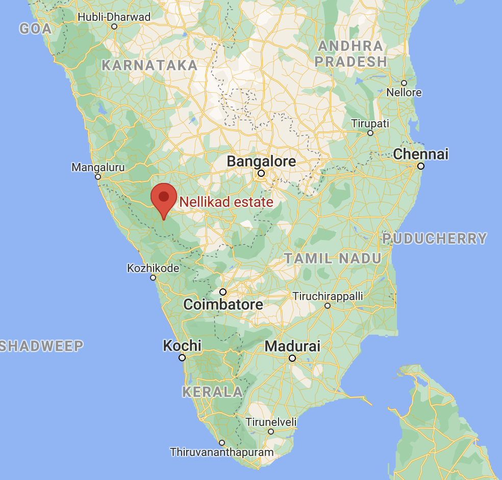 Indien | Region Chickmagalur (Karnataka)