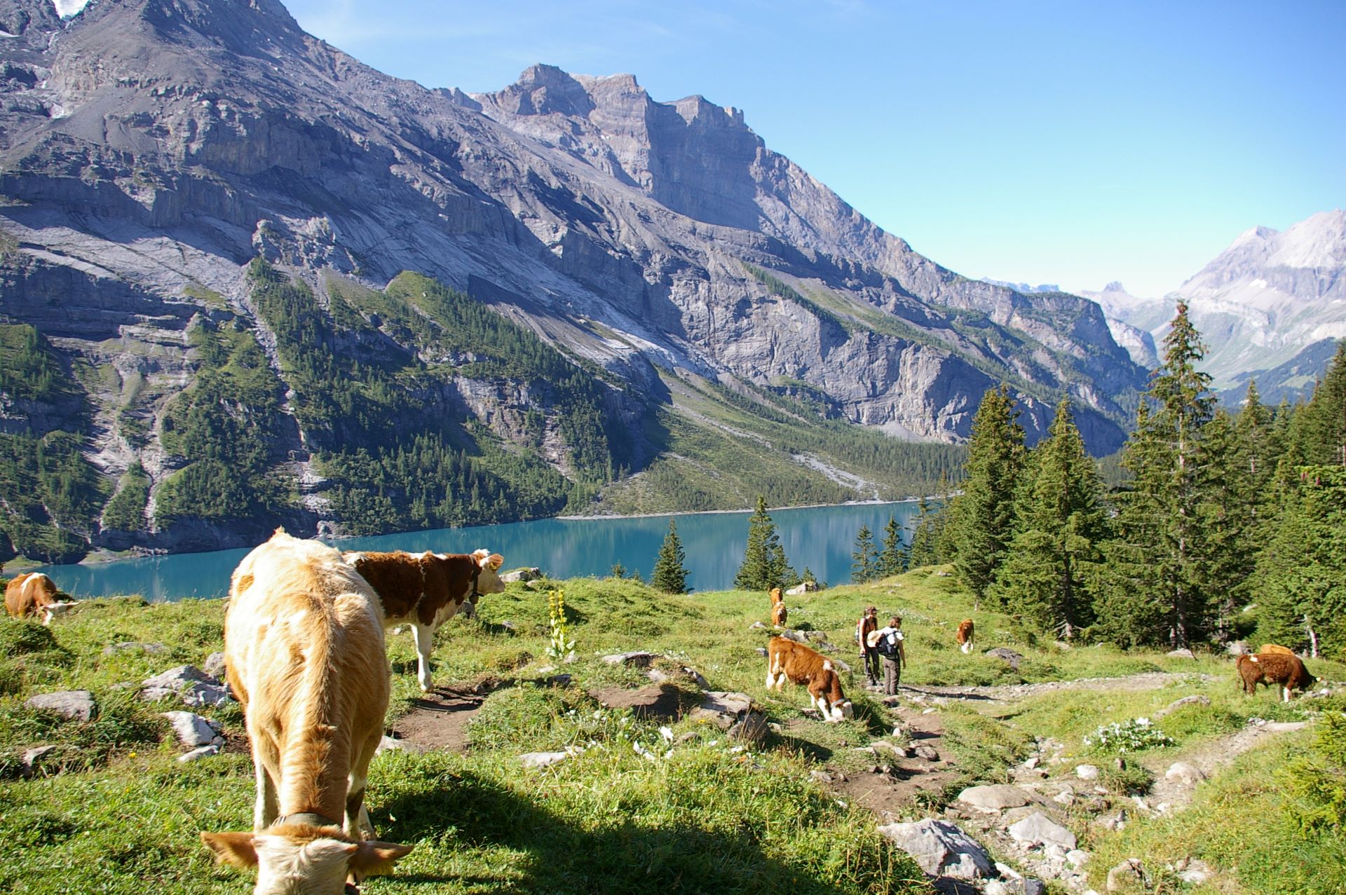 Keine langen Aufstiege und immer eine tolle Aussicht