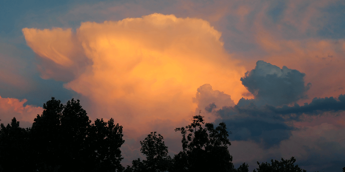 Ein Sommer, der sich unverdrossen steigerte.