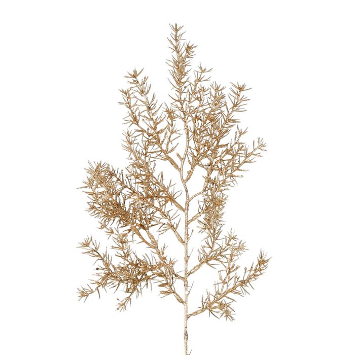 Brushwood Fir Fleur Gold